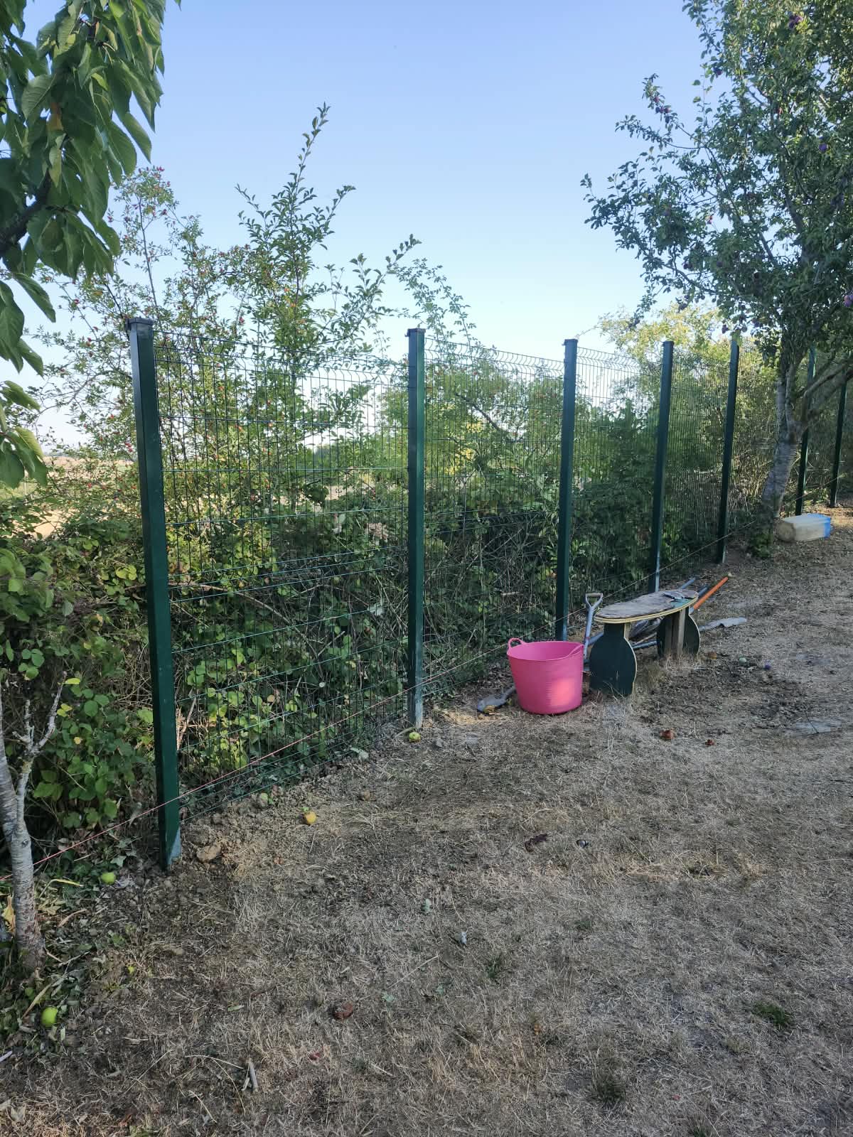 A wire fence with green metal posts runs alongside a grassy, dry area with bushes behind it. In front, there is a pink bucket, a wheelbarrow, and a small bench under some trees.