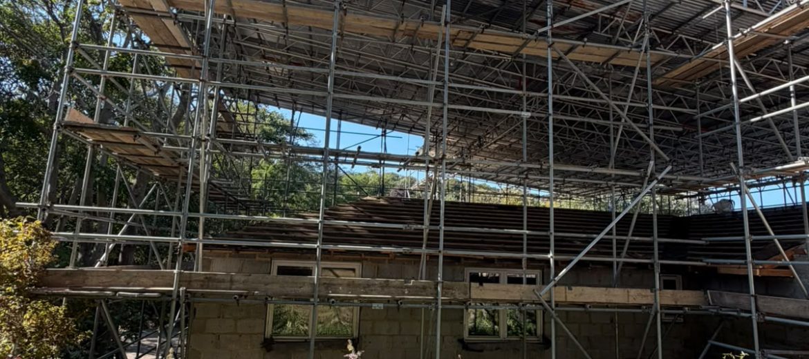 A building under construction, surrounded by metal scaffolding, stands behind a patch of green plants and wildflowers, with a clear blue sky above.