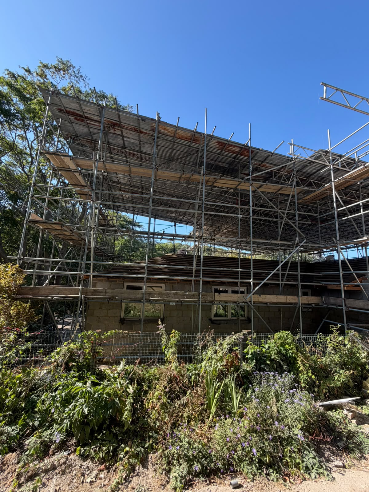 A building under construction, surrounded by metal scaffolding, stands behind a patch of green plants and wildflowers, with a clear blue sky above.
